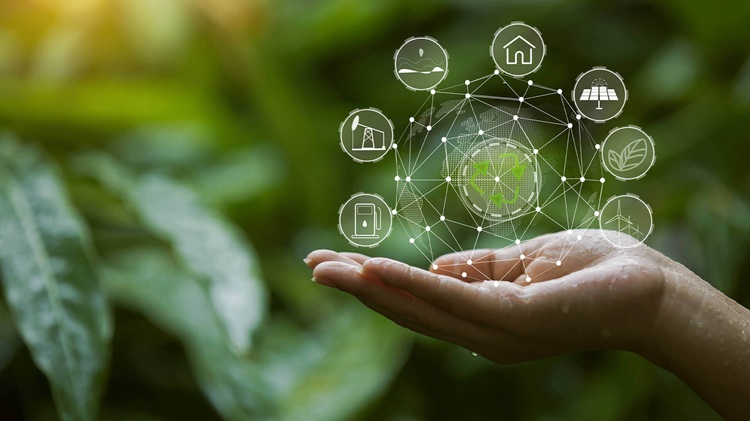 Carbon Offsetting Programs